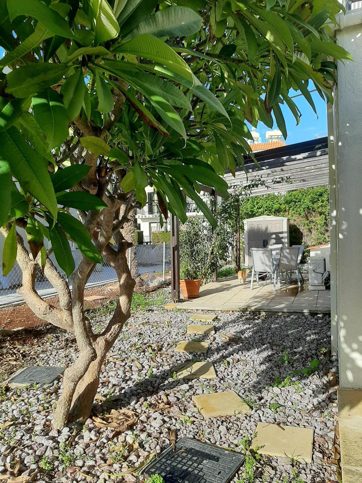 H&O Royal Townhouse In Center Paphos Διαμέρισμα Εξωτερικό φωτογραφία